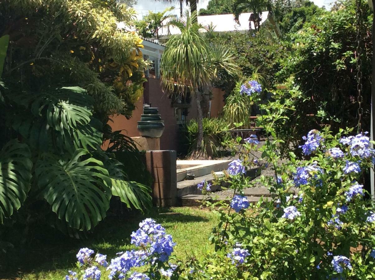 Mediteranean Style Ohana Rental / Garden Bungalow In Pahoa Honolulu Landing Esterno foto